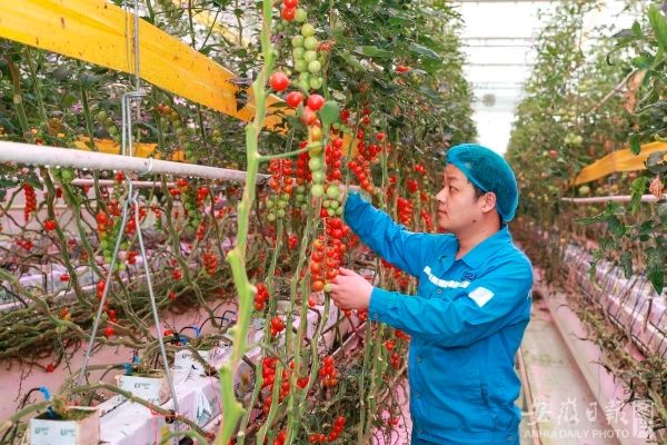 微信圖片_20250214140107